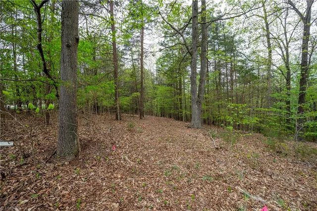 $179,500 | 8397 Tuscany Drive, Lewisville, NC 27023