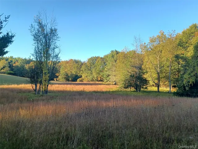 a view of lake with green space