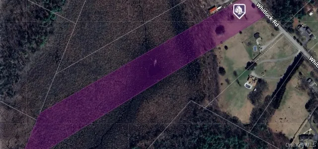 a view of a yard with plants