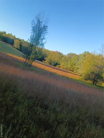 a view of a field with an ocean