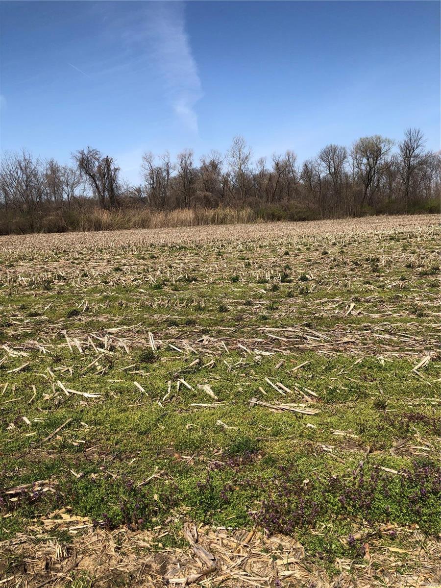 0 St Route Collinsville, IL 62234 - Photo 4 of 4 Gallery Image 4