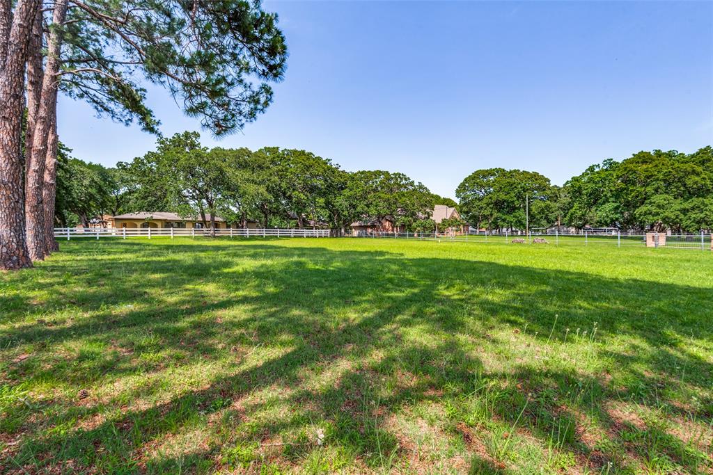 a grassy field with trees in the background