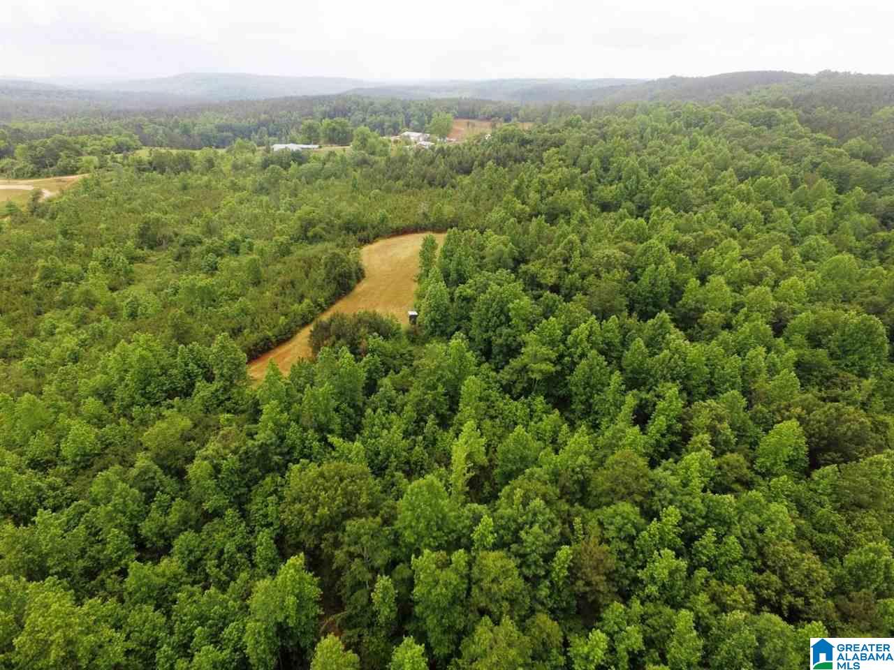 261 County Road, Unit 32 Lineville, AL 36266 - Photo 2 of 8