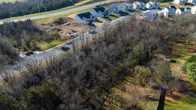 a view of a yard with plants