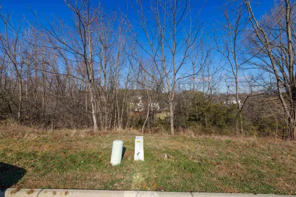 a view of a yard