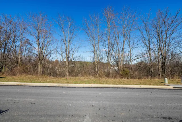 a view of yard with large trees