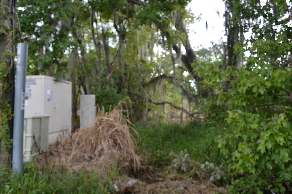 0 Chuluota Road Oviedo, FL 32765 - Photo 16 of 17 a backyard of a house with lots of green space