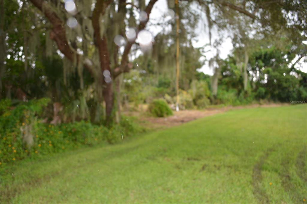 0 Chuluota Road Oviedo, FL 32765 - Photo 2 of 17 a view of yard with green space