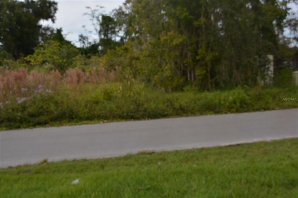 0 Chuluota Road Oviedo, FL 32765 - Photo 3 of 17 a view of a field of grass and trees