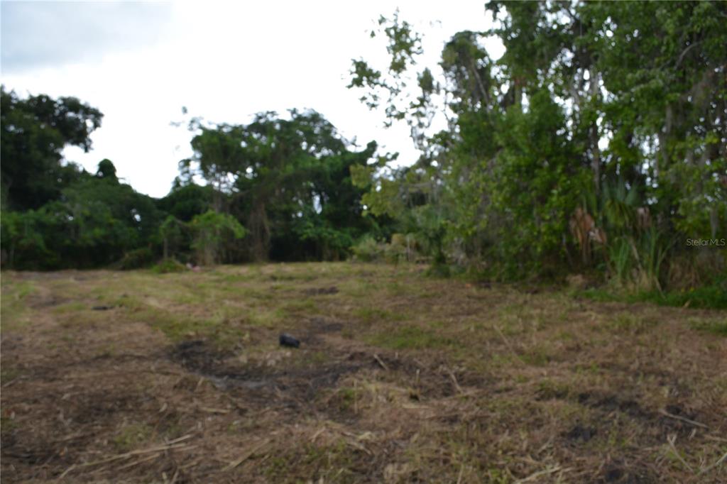 0 Chuluota Road Oviedo, FL 32765 - Photo 4 of 17 a view of a yard with a tree