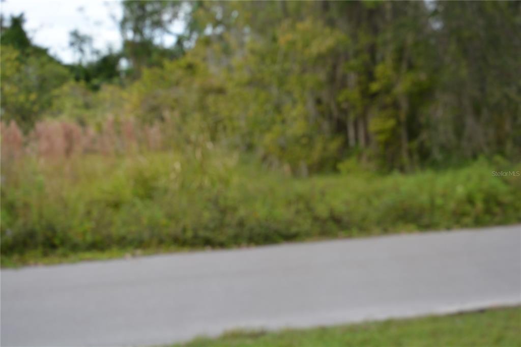 0 Chuluota Road Oviedo, FL 32765 - Photo 7 of 17 a view of a yard