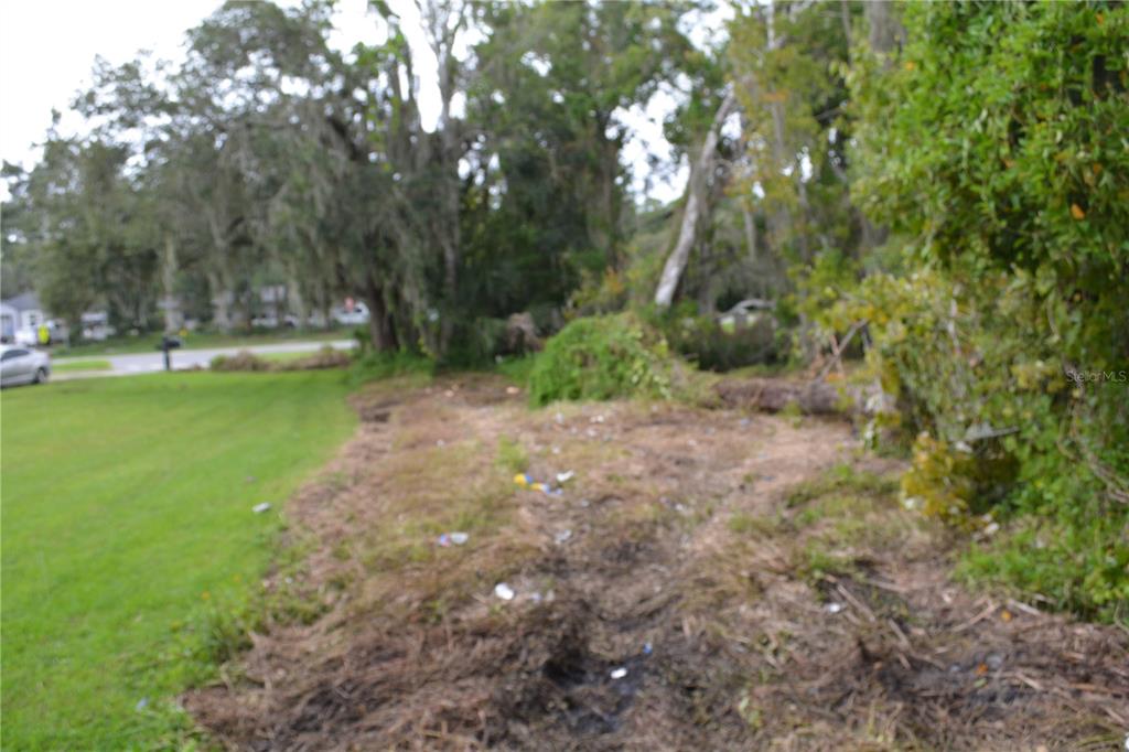 0 Chuluota Road Oviedo, FL 32765 - Photo 10 of 17 a view of a yard with a tree