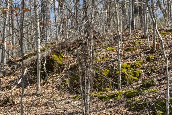 $199,000 | 138 West Red Rock Road, Colchester, VT 05446