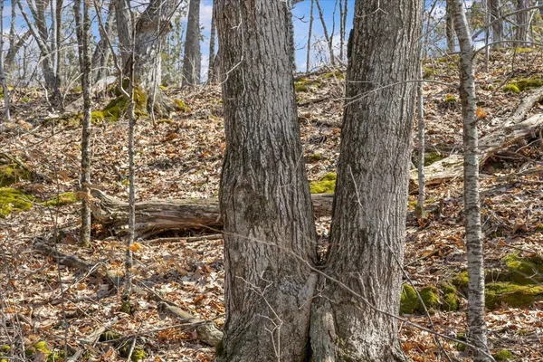 $199,000 | 138 West Red Rock Road, Colchester, VT 05446