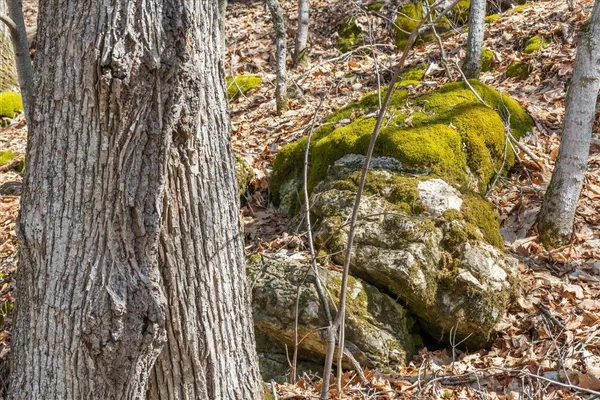 $199,000 | 138 West Red Rock Road, Colchester, VT 05446