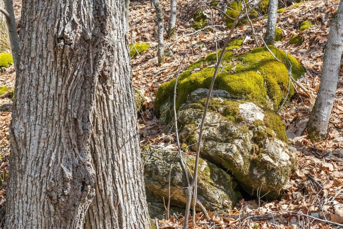 138 West Red Rock Road Colchester, VT 05446 - Photo 15 of 46