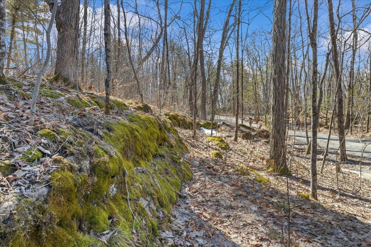 138 West Red Rock Road Colchester, VT 05446 - Photo 29 of 46