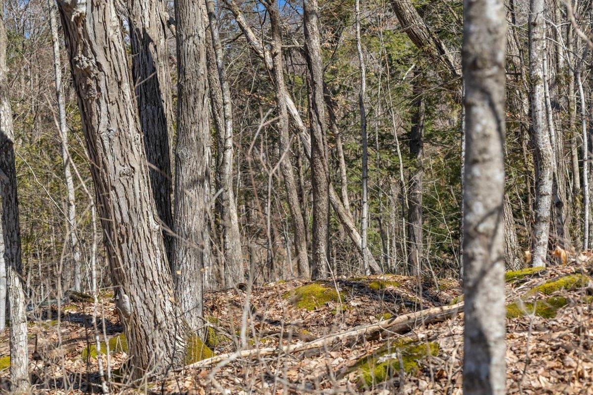 138 West Red Rock Road Colchester, VT 05446 - Photo 33 of 46