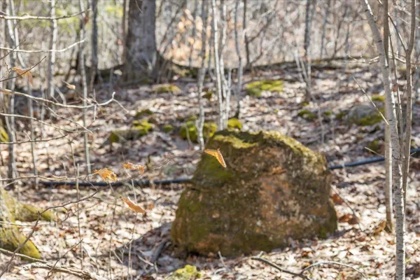 $199,000 | 138 West Red Rock Road, Colchester, VT 05446