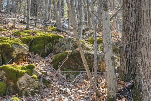 $199,000 | 138 West Red Rock Road, Colchester, VT 05446