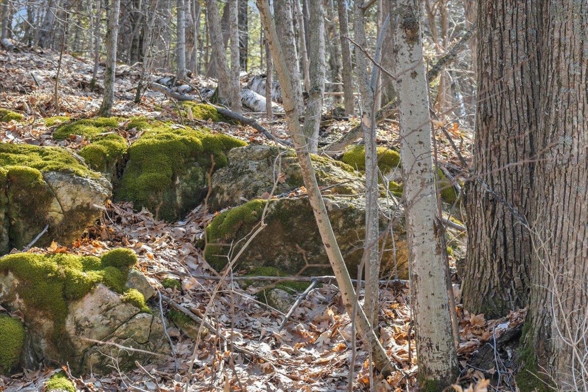 138 West Red Rock Road Colchester, VT 05446 - Photo 10 of 46