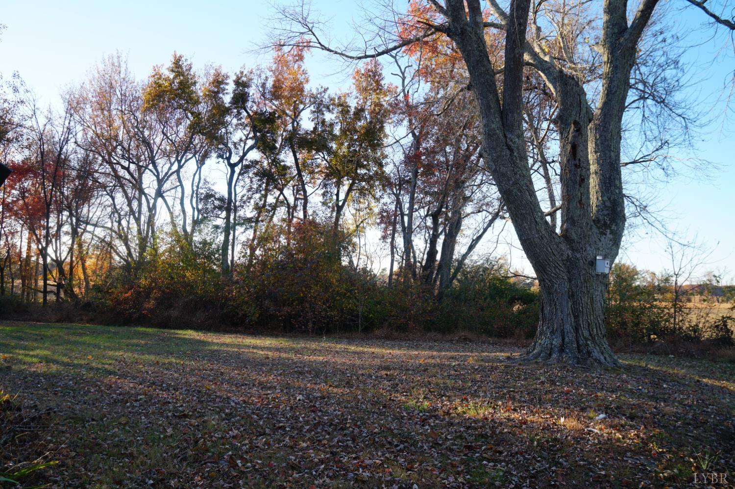 10188 Stage Coach Road Gretna, VA 24557 - Photo 55 of 64