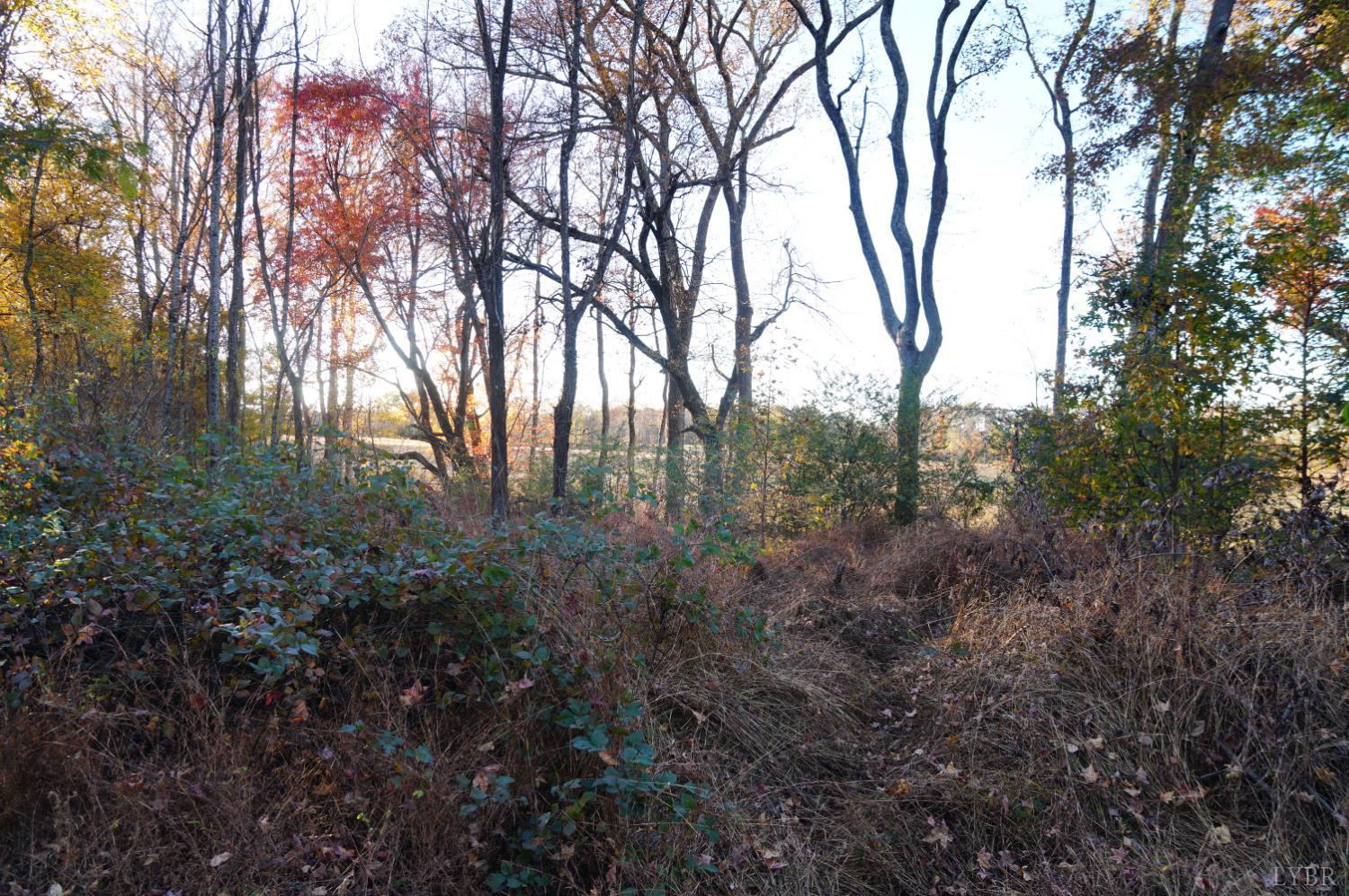 10188 Stage Coach Road Gretna, VA 24557 - Photo 57 of 64