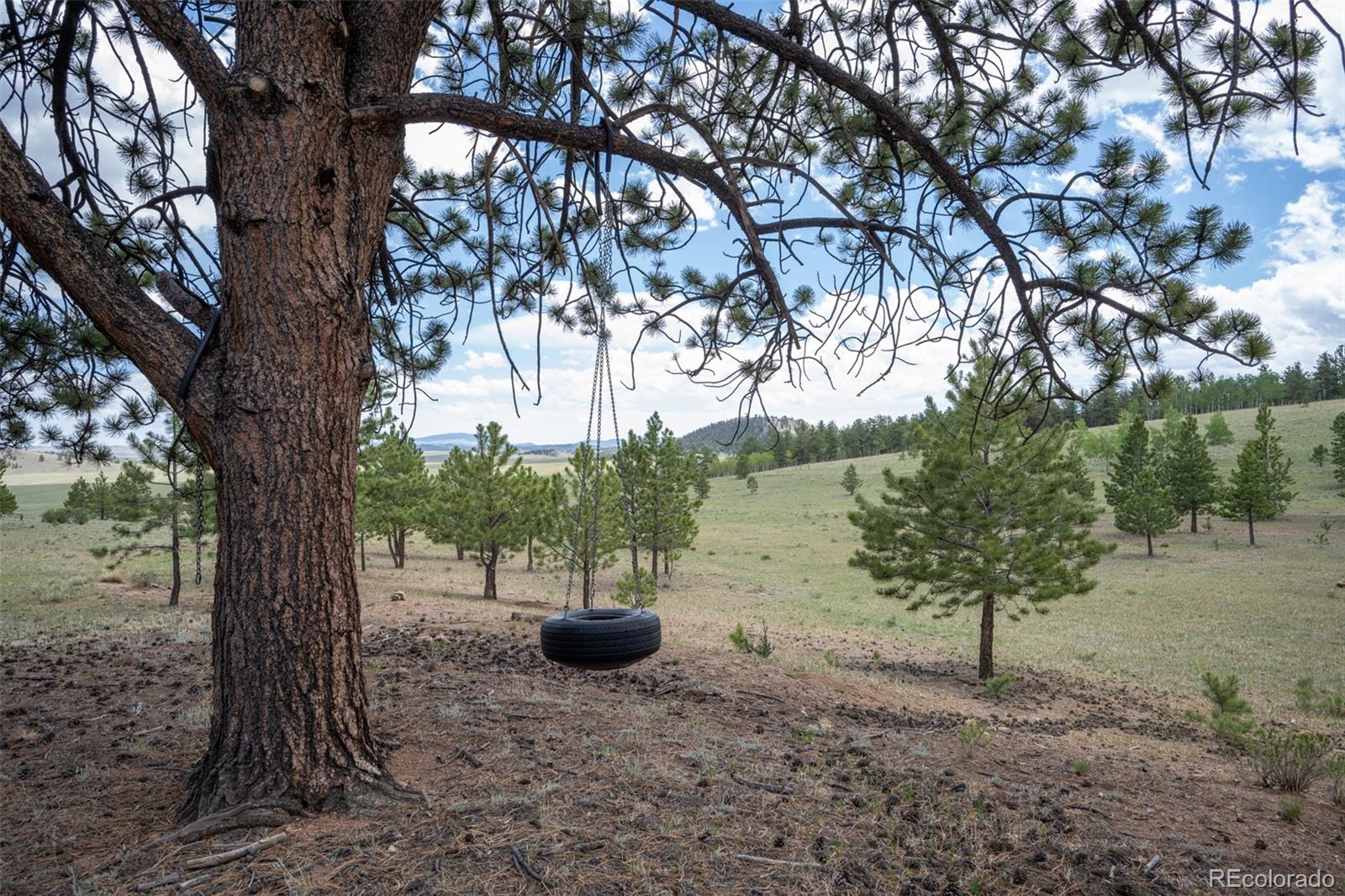 2883 Wagon Wheel Road Hartsel, CO 80449 - Photo 39 of 50