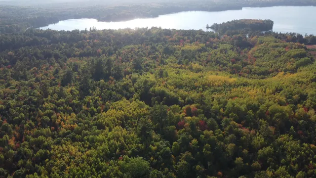 $450,000 | Green Green Field, Franklin, ME 04634