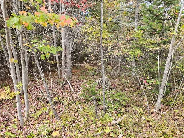 $450,000 | Green Green Field, Franklin, ME 04634