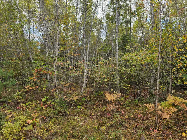 $450,000 | Green Green Field, Franklin, ME 04634