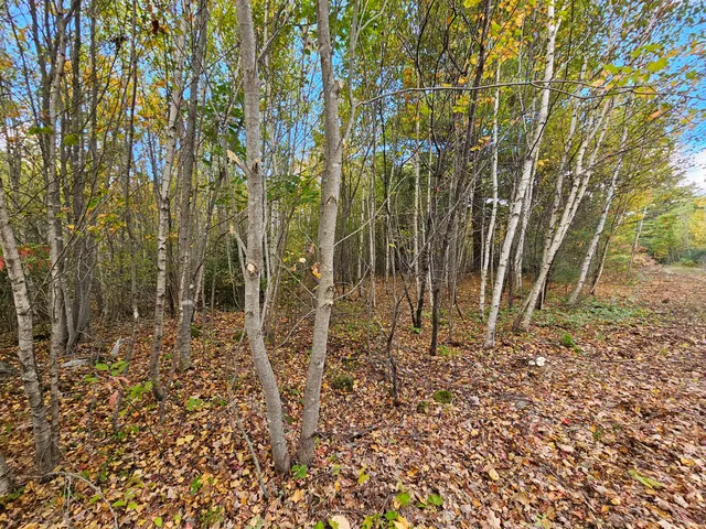 $450,000 | Green Green Field, Franklin, ME 04634