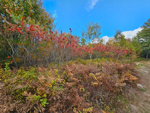 $450,000 | Green Green Field, Franklin, ME 04634