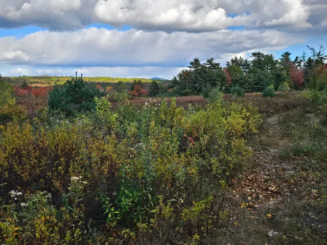 $450,000 | Green Green Field, Franklin, ME 04634