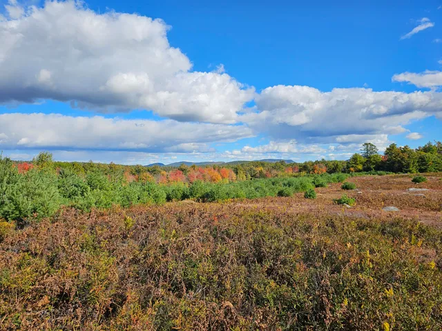 $450,000 | Green Green Field, Franklin, ME 04634