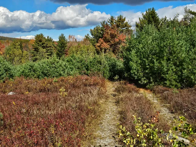 $450,000 | Green Green Field, Franklin, ME 04634