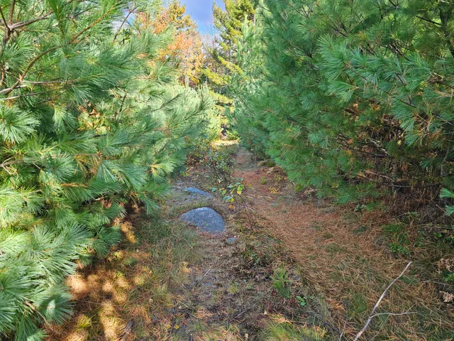 $450,000 | Green Green Field, Franklin, ME 04634