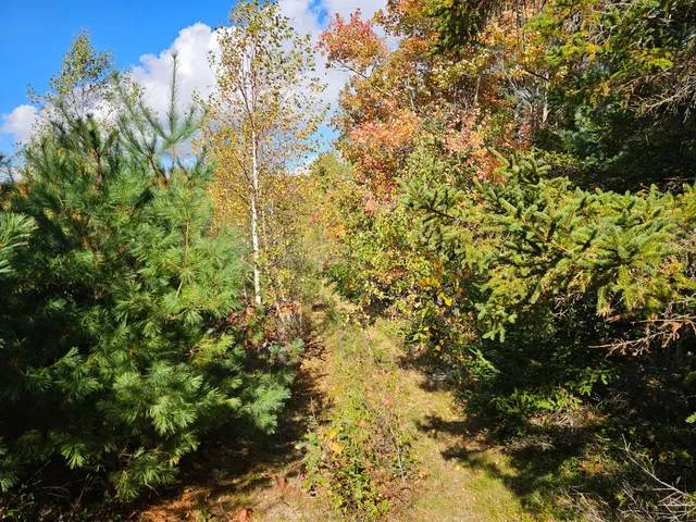 $450,000 | Green Green Field, Franklin, ME 04634