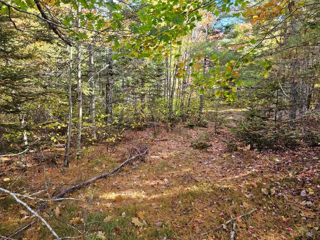 $450,000 | Green Green Field, Franklin, ME 04634
