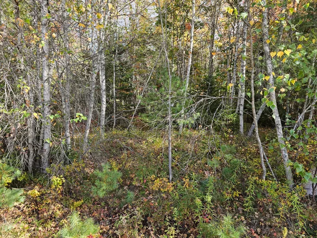 $450,000 | Green Green Field, Franklin, ME 04634