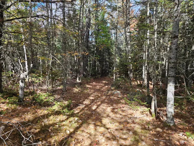 $450,000 | Green Green Field, Franklin, ME 04634