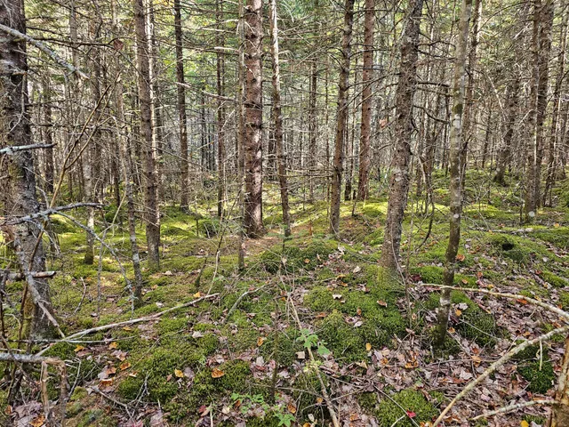 $450,000 | Green Green Field, Franklin, ME 04634