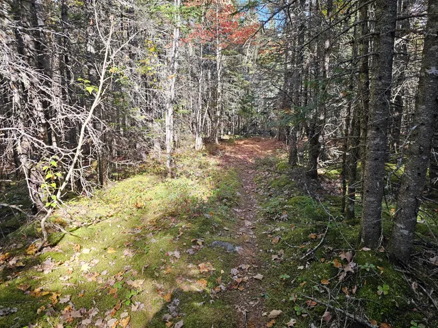 $450,000 | Green Green Field, Franklin, ME 04634