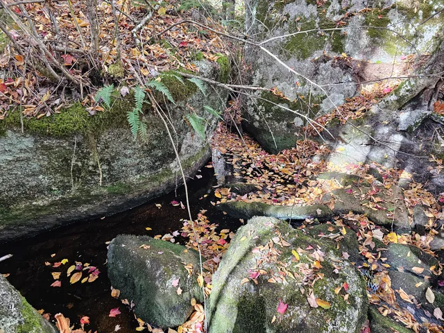 $450,000 | Green Green Field, Franklin, ME 04634