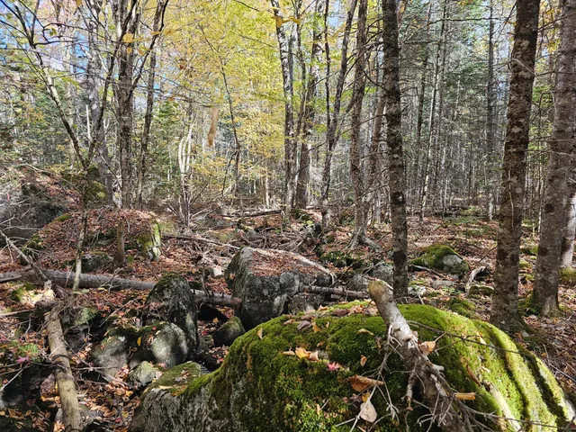 $450,000 | Green Green Field, Franklin, ME 04634