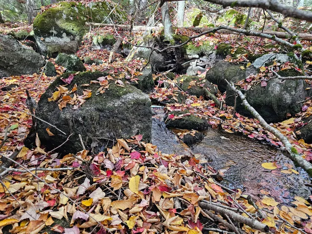 $450,000 | Green Green Field, Franklin, ME 04634