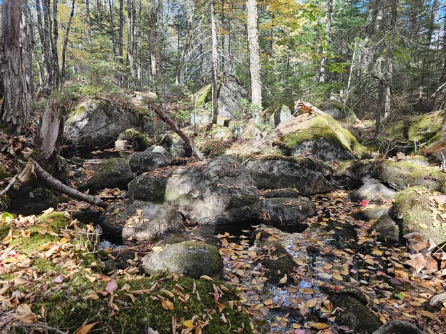 $450,000 | Green Green Field, Franklin, ME 04634