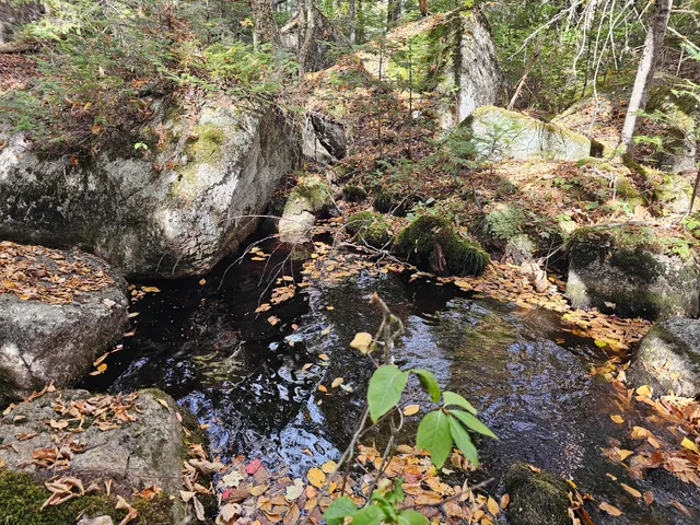 $450,000 | Green Green Field, Franklin, ME 04634