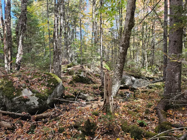 $450,000 | Green Green Field, Franklin, ME 04634