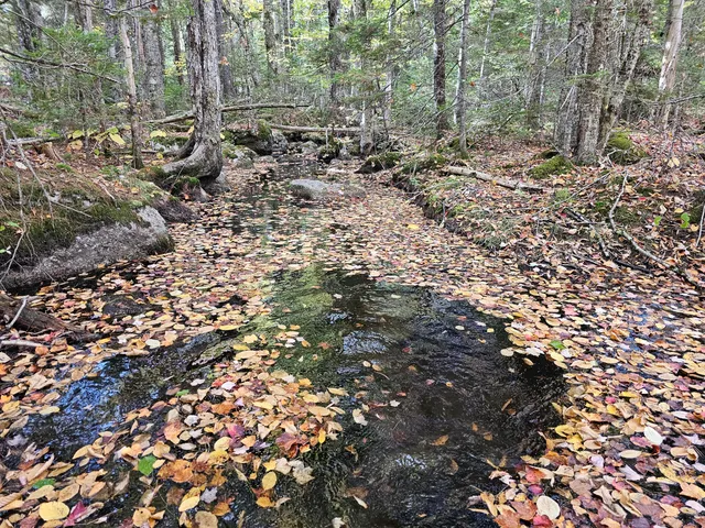 $450,000 | Green Green Field, Franklin, ME 04634